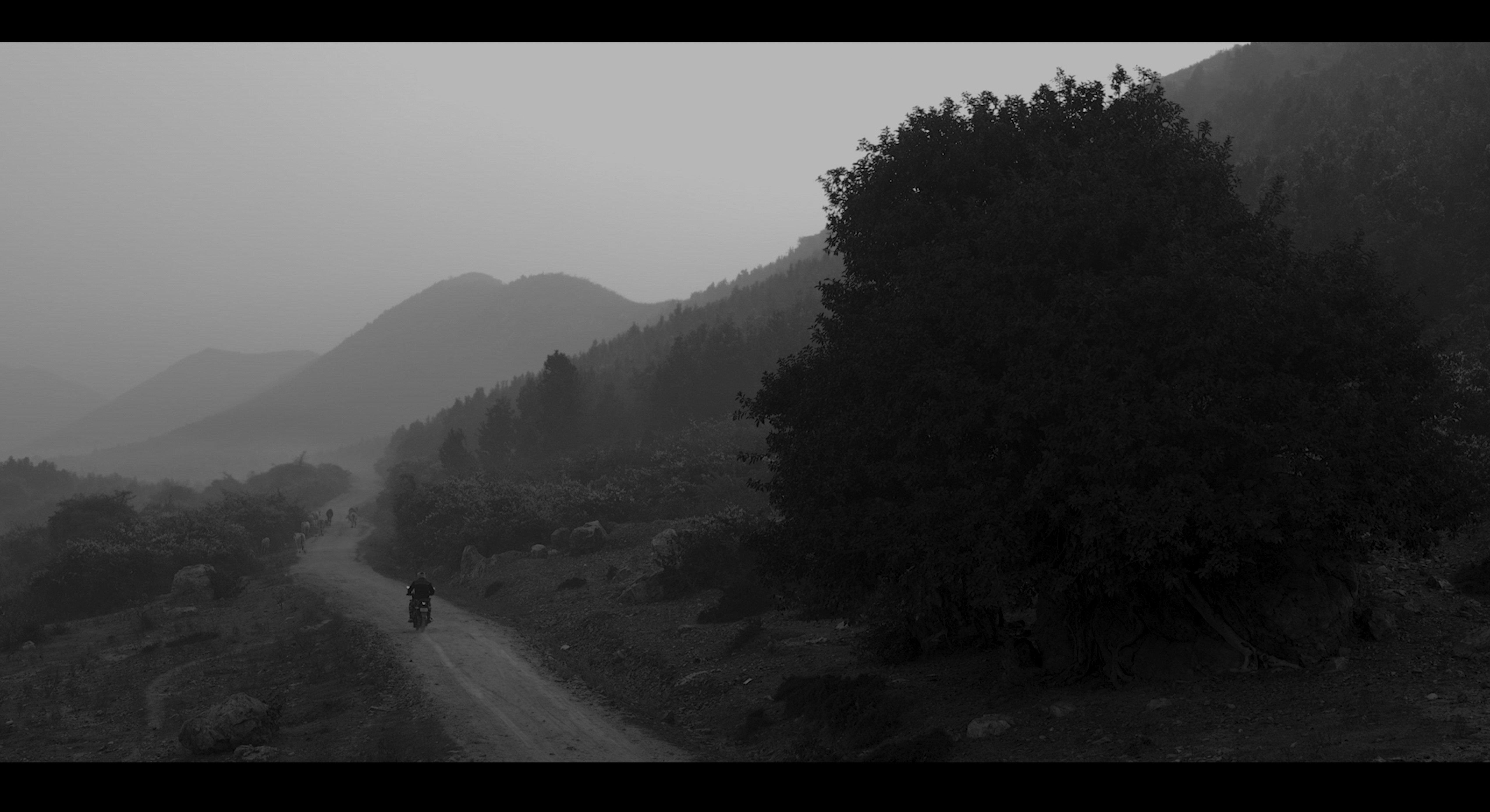 Film still 3